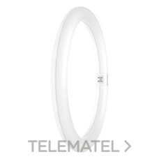 LEDVANCE - TUBO LED LEDTUBE T9C EM V 32 18.3W 840 G10Q 2200lm - Imagen 2